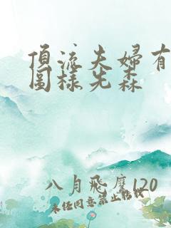 顶流夫妇有点甜图样先森