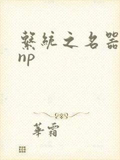 系统之名器攻略np