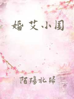 婚 艾小图