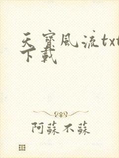 天宝风流txt下载