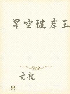 星空彼岸王轩