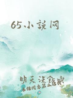 65小说网