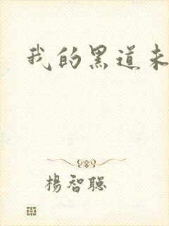 我的黑道未婚夫