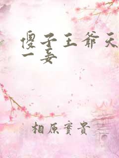 傻子王爷天下第一妾