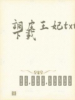 调皮王妃txt下载