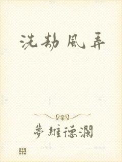 洗劫 风弄