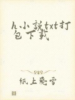 h小说txt打包下载