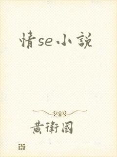 情se小说