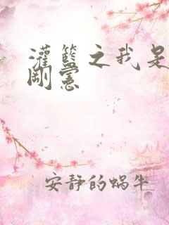 灌篮之我是赤木刚宪