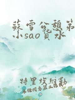 苏雪公憩第一章小sao货水
