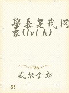 学长是我网恋对象(1v1 h)