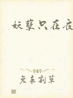 妖孽只在夜里哭
