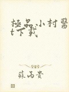 极品小村医txt下载