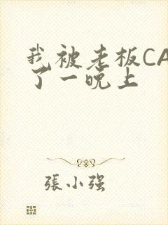 我被老板CAO了一晚上