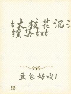 t大校花沉浮录续集txt