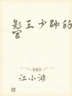 影王少帅的女长官