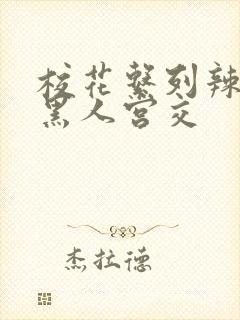 校花系列辣h文黑人宫交