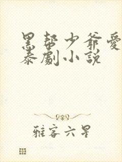 黑帮少爷爱上我泰剧小说