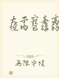 太子宠妾高肉红烧肉包讲的什么