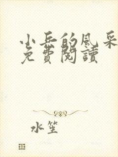 小兵的风采小说免费阅读