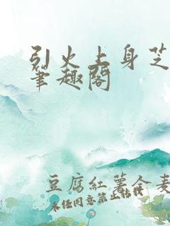 引火上身芝麻糖笔趣阁