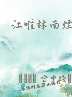 江唯林南烟