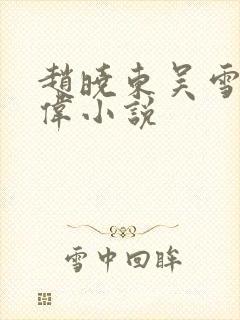 赵晓东吴雪晴郑伟小说