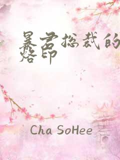 暴君总裁的狂烈烙印