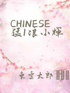 CHINESE猛1浪小辉