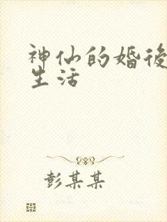 神仙的婚后都市生活
