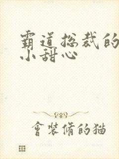 霸道总裁的宠爱小甜心