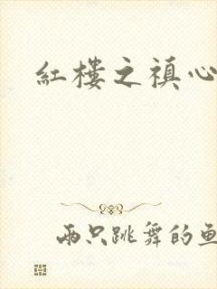 红楼之禛心锁玉