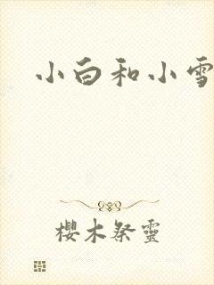 小白和小雪