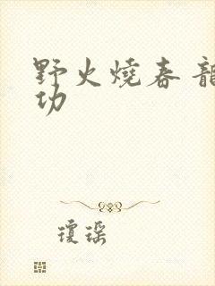 野火烧春 龙鸣功