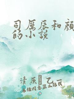 司厉辰和颜辞兮的小说