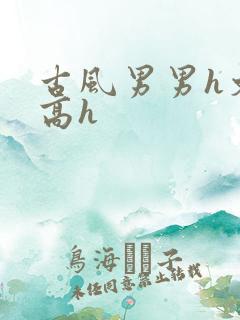 古风男男h文肉高h