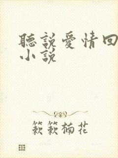 听说爱情回来过小说