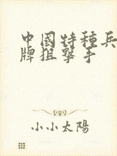 中国特种兵之王牌狙击手