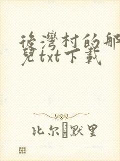 后湾村的那些事儿txt下载