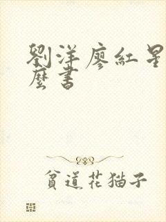 刘洋廖红星是什么书