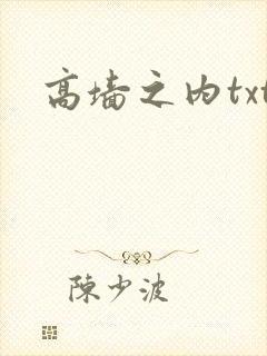 高墙之内txt