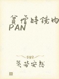 贫僧时镜肉补全PAN