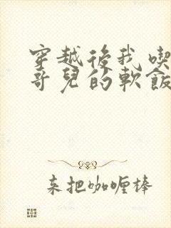 穿越后我吃到了哥儿的软饭炉山灰