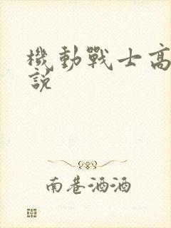 机动战士高达小说