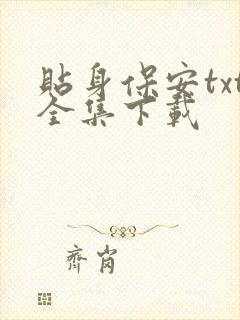 贴身保安txt全集下载