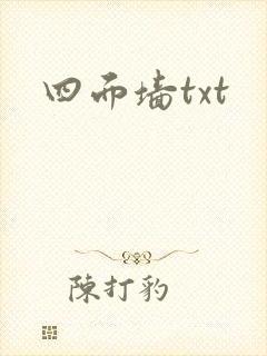四面墙txt
