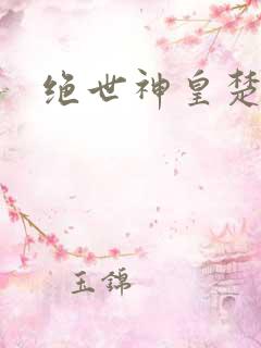 绝世神皇楚风