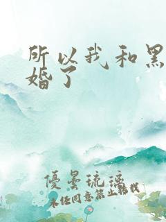 所以我和黑粉结婚了