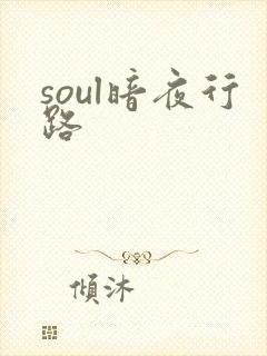 soul暗夜行路
