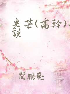 光芒(高干)小说